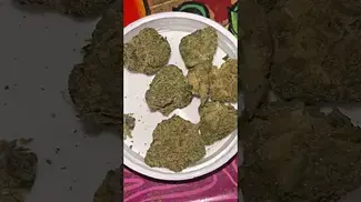 Sundaze JDP T28 Jet Fuel Pie #ukmedicalcannabis #sundaze #jetfuelpie #weddingpie #jetfuelgelato