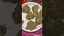 St0nerLukas Video Thumbnail