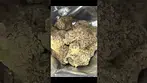 MOCHI GELATO T28 | BUDS 2 #ukmedicalcannabis #strain #strainreview #ukmedical