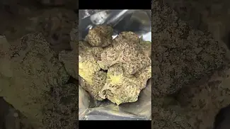 MOCHI GELATO T28 | BUDS 2 #ukmedicalcannabis #strain #strainreview #ukmedical
