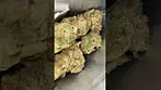 Four20pharma - grapes & cream 30%