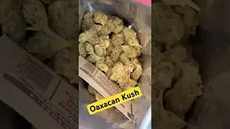 CLICK HERE FOR OAXACAN KUSH