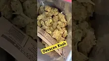 EdTalks420 Video Thumbnail