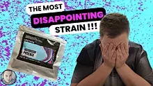 Canna Fella Video Thumbnail