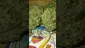 Video Thumbnail: VIP THC