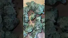 EdTalks420 Video Thumbnail