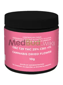 Packaging for Sundaze® GBZ T29 Guava Bars Medical Cannabis Flower