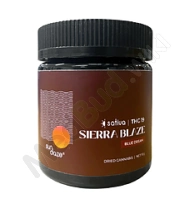 Sierra Blaze T19 Packaging
