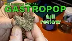 GASTROPOP | Big Narstie Medical | 28% | FULL REVIEW