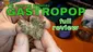 Video Thumbnail: Smacksalad