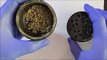 Buds Lullaby UK Video Thumbnail