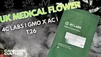 UK MEDICAL FLOWER | 4C LABS | GMO X AC | GMO X ANIMAL COOKIES | T26