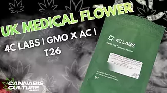 UK MEDICAL FLOWER | 4C LABS | GMO X AC | GMO X ANIMAL COOKIES | T26