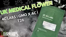 Cannabis Culture  Video Thumbnail