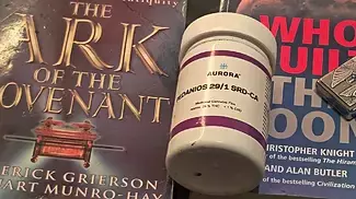 Aurora Sourdough Relook 8 Months Later? Does It Still Bang?