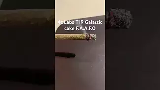 4c Labs T19 Galactic cake F.A.A.F.O burn