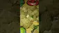 Video Thumbnail: VIP THC