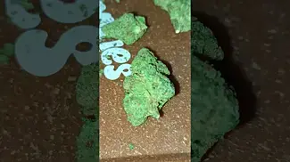 zkittlez fuel out the bag.