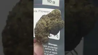 Ripped Off Runtz T26 | NUGS  #ukmedicalcannabis #strain #strainreview #Lot420 #AAAA #ukmedical