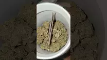 420Medical Video Thumbnail