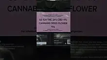 Green Script Reviews Video Thumbnail