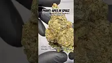 Review Budd Video Thumbnail