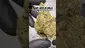 Video Thumbnail: Review Budd
