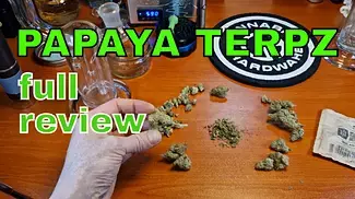 PAPAYA TERPZ | Terpz and Cuntourage | FULL REVIEW (no scope or purpl pro tho!)