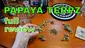 Video Thumbnail: Smacksalad