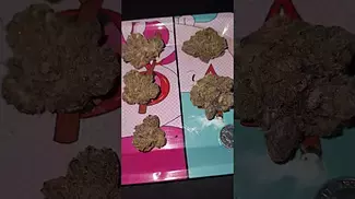 BC Green Scotti's Cake 26% | UK Medical Cannabis | The Visuals