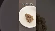 LoudConnoisseur Video Thumbnail