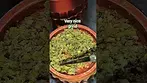 Garlic Zkittles by AAAA. THC28%. MEDICAL CANNABIS