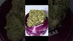 Ecocann Lemon Tree by Glass Pharms - review in description #shorts #ukmedicalcannabis