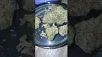 Big nastie medical gushers #medicalcannabis #gushers