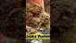 Video Thumbnail: Onemans 420
