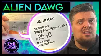 Tilray Alien Dawg Medical Cannabis Review 
