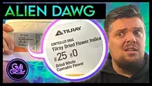 God in the Grass Video Thumbnail