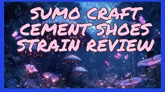 Sumo Craft Cement Shoes UK Strain Review