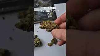 Mamedica - Flawless Victory (27%)(UK Medical Cannabis Prescription)