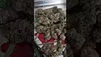 BIG Narstie medical Glitter bomb