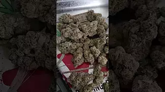 BIG Narstie medical Glitter bomb