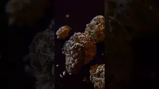 Releaf® MC T22 MAC-3 Medical Cannabis Flower #shorts  #medicalcannabis