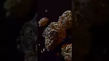 Dwarf Killa Video Thumbnail