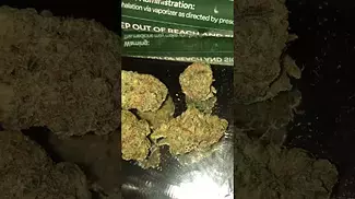 4C Labs Core PGL T26 Platinum Garlic Medical Cannabis Flower