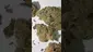 Video Thumbnail: Medi Blaze