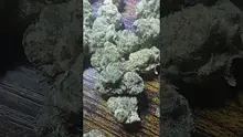 Baked Pasta Video Thumbnail