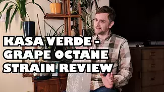 Grape Octane - Kasa Verde - Strain Review