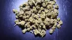 Cold Creek Kush-S