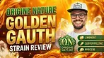 Origine Nature Golden Gauth UK Medical Flower Review