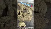 420Medical Video Thumbnail